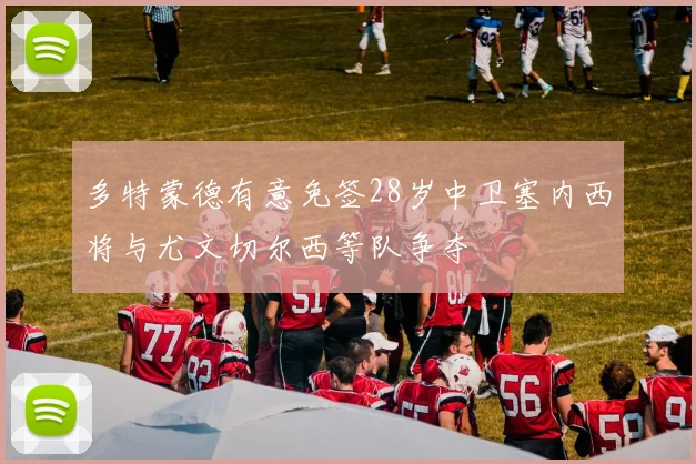 多特蒙德有意免签28岁中卫塞内西将与尤文切尔西等队争夺