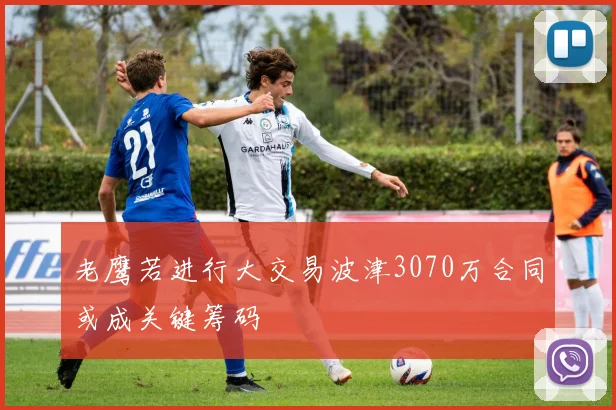 老鹰若进行大交易波津3070万合同或成关键筹码