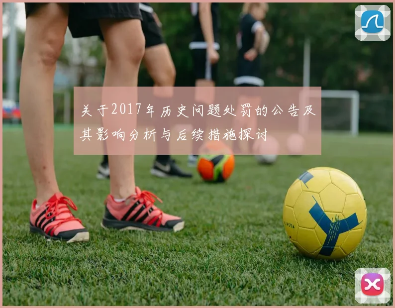 关于2017年历史问题处罚的公告及其影响分析与后续措施探讨
