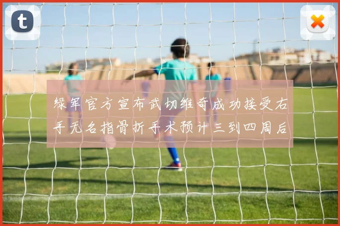 绿军官方宣布武切维奇成功接受右手无名指骨折手术预计三到四周后复查