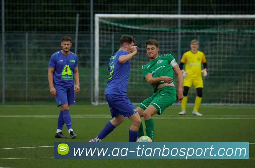 App Interface Preview